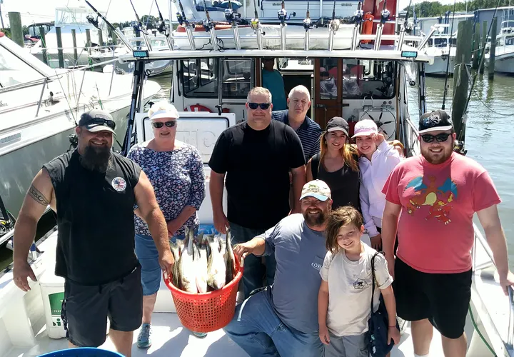 A day's catch of Chesapeake Bay rockfish aboard the Hot Pursuit
